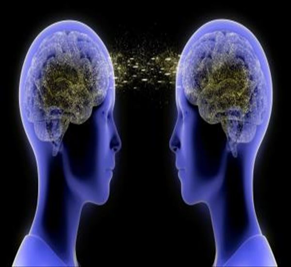 نظام اعصاب آیینه‌ای و نظریه ذهن در خودماندگی